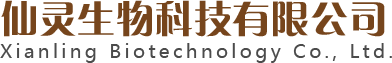 凯发·k8国际(中国)首页登录_站点logo